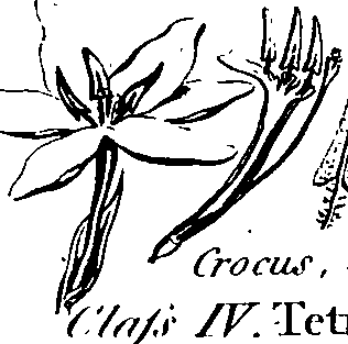 088/088890010301770_7.png