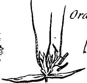 088/088890010301770_8.png