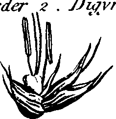 088/088890010301770_9.png