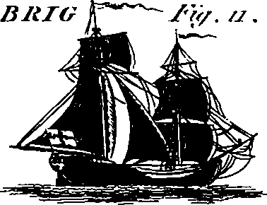 088/088890010302220_2.png