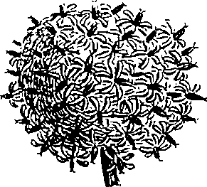 088/088890010302690_0.png