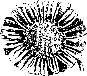 088/088890010302690_1.png