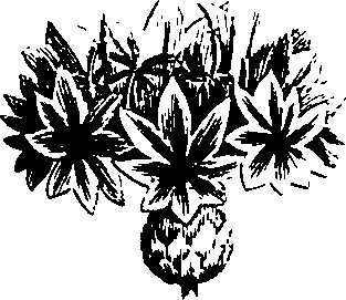 088/088890010302690_2.png