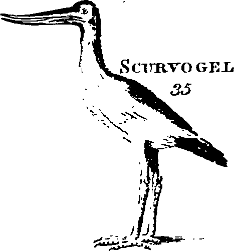 088/088890010303260_1.png