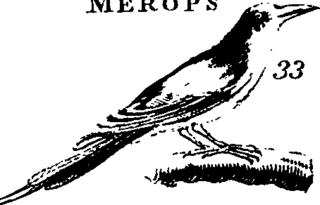 088/088890010303260_2.png
