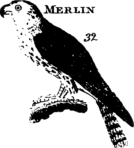 088/088890010303260_3.png