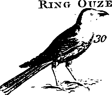 088/088890010303260_4.png