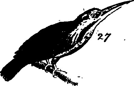 088/088890010303260_5.png