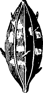 088/088890010303410_0.png