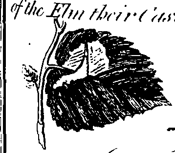 088/088890010303410_1.png