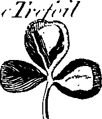 088/088890010303410_2.png