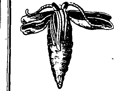 088/088890010303410_4.png