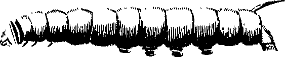 088/088890010303410_5.png