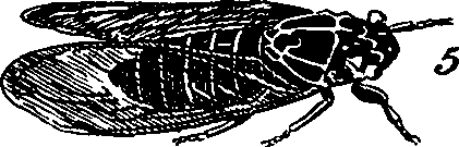 088/088890010303410_7.png