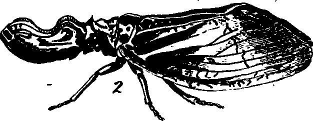 088/088890010303410_8.png