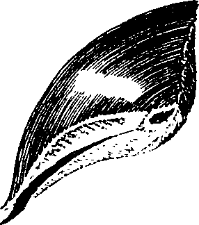 088/088890010304230_1.png