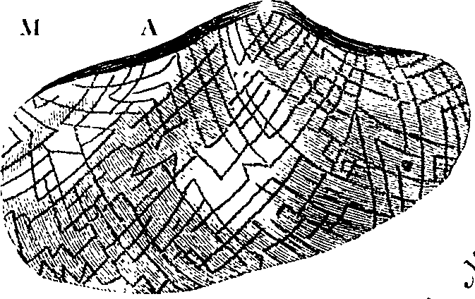 088/088890010304230_2.png