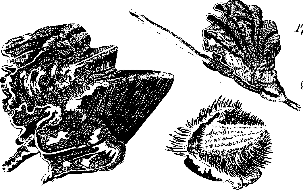 088/088890010304230_3.png