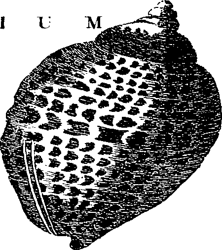 088/088890010304230_5.png