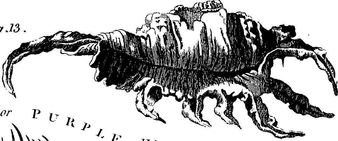 088/088890010304230_6.png