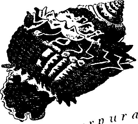 088/088890010304230_7.png