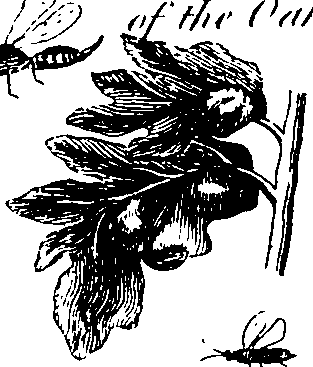 088/088890010304460_0.png