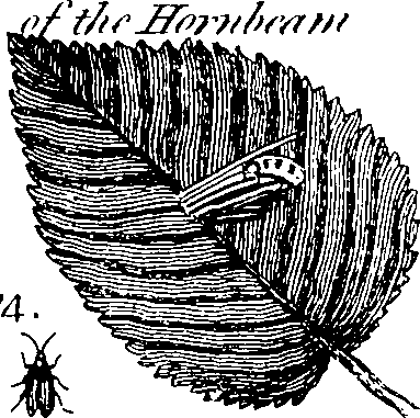 088/088890010304460_10.png