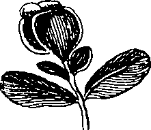088/088890010304460_2.png