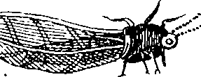 088/088890010304460_3.png