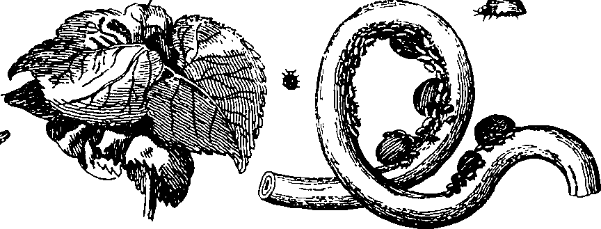 088/088890010304460_4.png