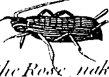 088/088890010304460_5.png