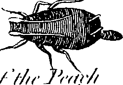 088/088890010304460_6.png