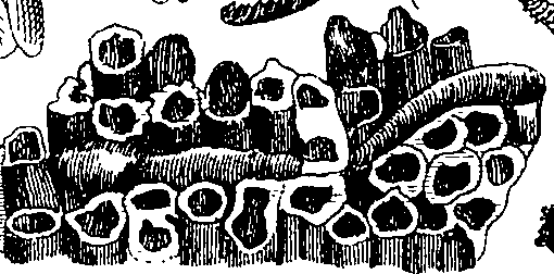 088/088890010304460_7.png