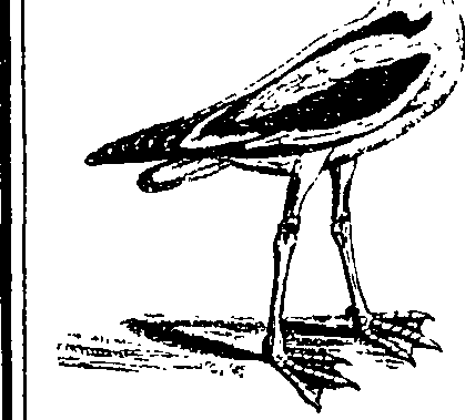 088/088890010304810_0.png