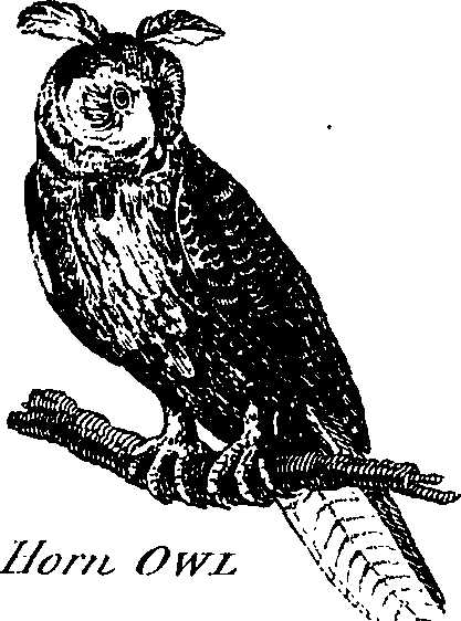 088/088890010304810_4.png