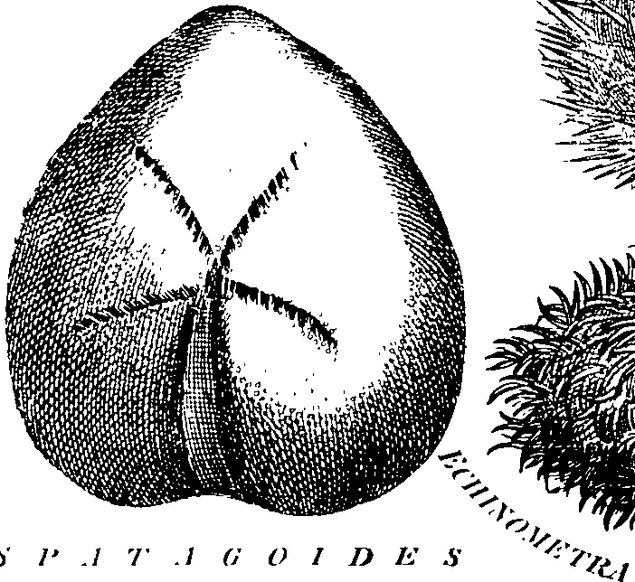 088/088890010305190_0.png