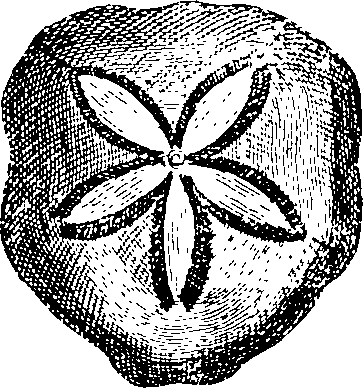 088/088890010305190_3.png
