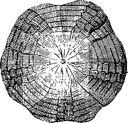 088/088890010305190_4.png