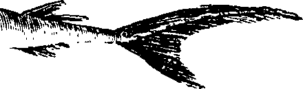 088/088890010305220_0.png
