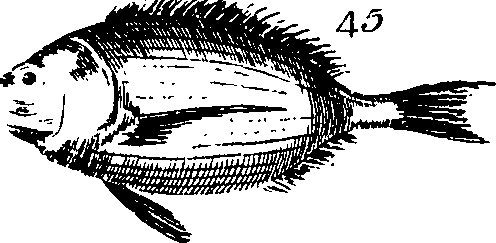 088/088890010305220_1.png