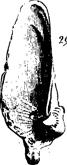 088/088890010305530_0.png