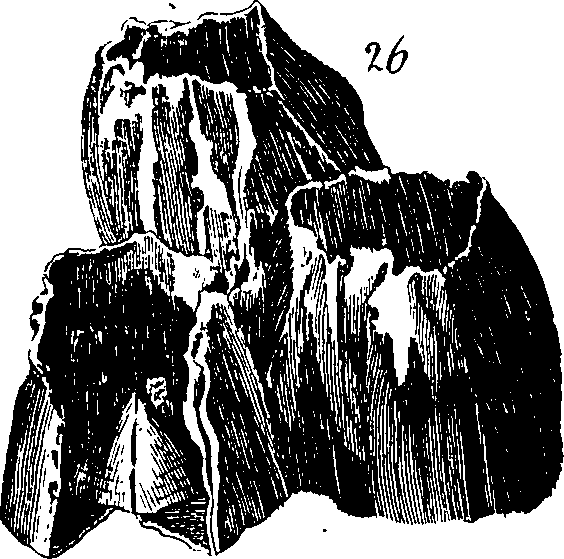 088/088890010305530_1.png