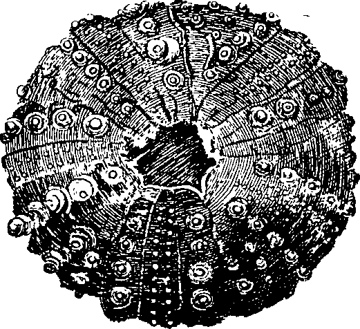 088/088890010305530_2.png