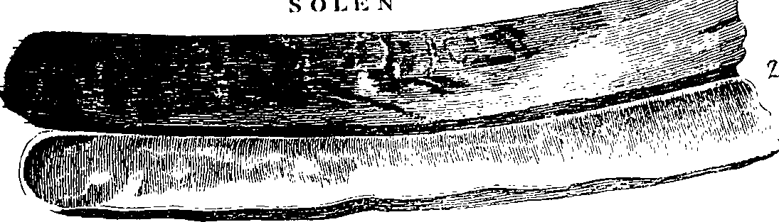 088/088890010305530_3.png