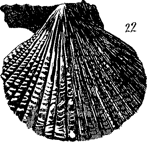 088/088890010305530_4.png