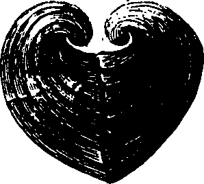 088/088890010305530_5.png