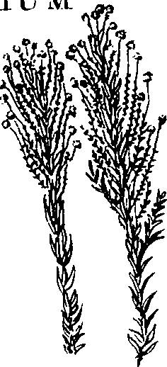 088/088890010305610_0.png