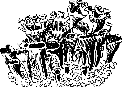 088/088890010305610_1.png