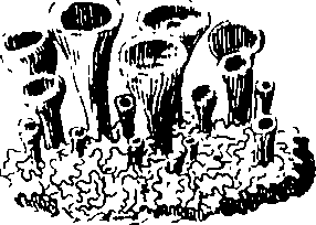 088/088890010305610_2.png