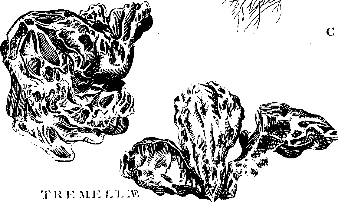 088/088890010305610_3.png